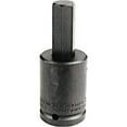 thumbnail image 1 of Socket Bits, 3/8 In Drive, 3/16 In Tip | Bundle of 5 Each, 1 of 1