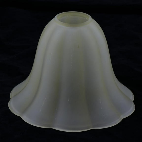Socket Classic Ceiling Fan Light Replacement Lampshade Light Fixture Pendant Lamp Shade