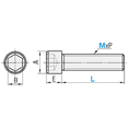 thumbnail image 1 of Socket Head Cap Screws | Stainless Steel 18-8 | Thread Diameter: #10-32 x Length: 9/16" (Carton Size: 2500) Fine Thread, 1 of 1