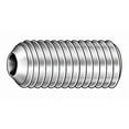 thumbnail image 1 of Socket Set Screw, Cup, 5/16-18x5/16, PK100, 1 of 1