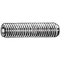 thumbnail image 1 of Manufacturer Varies Socket Set Screw,Gr M6,Cup,20mm L,PK100 M07840.060.0020, 1 of 1