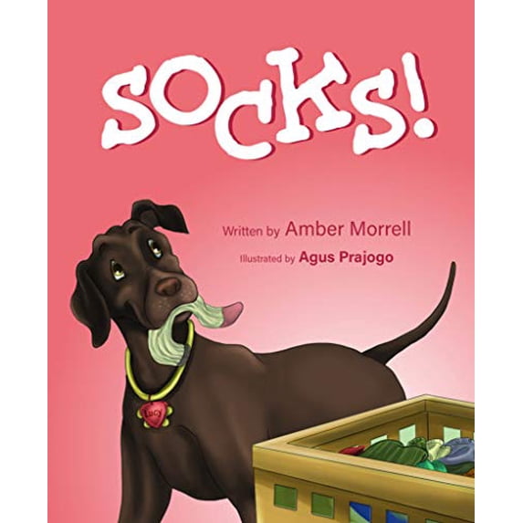 Pre-Owned Socks! (Hardcover) 1643075462 9781643075464