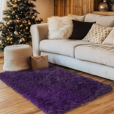 Socofuz 2x3ft Fluffy Rug, Small Soft Carpets for Doorways, Bedrooms, Kitchen, and Bathroom Entrances