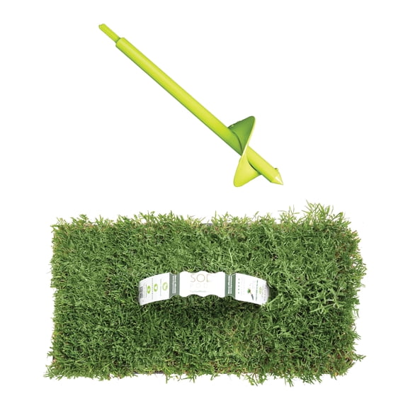 SodPods Bermuda (64-Count)/SP Power Planter Bundle, Natural Affordable Lawn Improvement