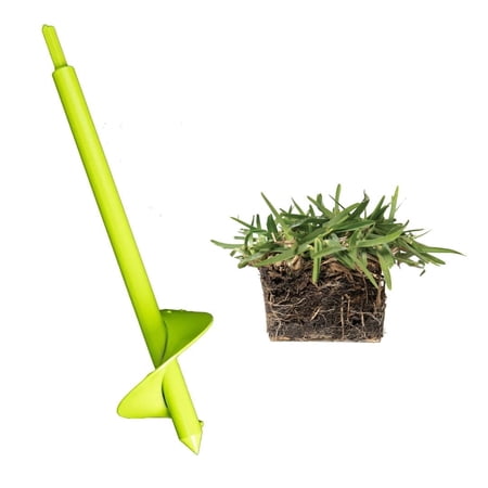 SodPods St Augustine CitraBlue (64-Count)/SP Power Planter Bundle, Natural Affordable Lawn Improvement