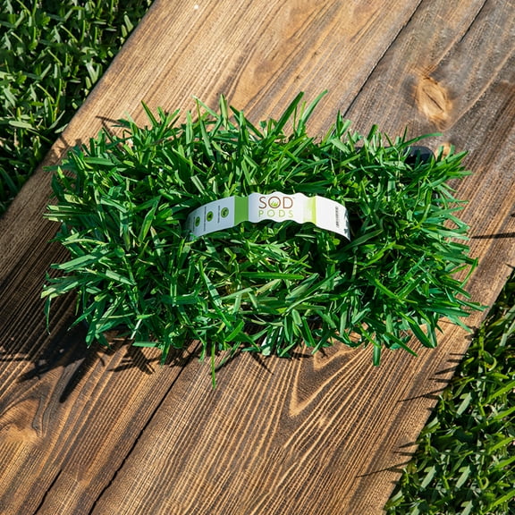 SodPods St Augustine Floratam Grass Plugs (64 Count) Natural, Affordable Lawn Improvement