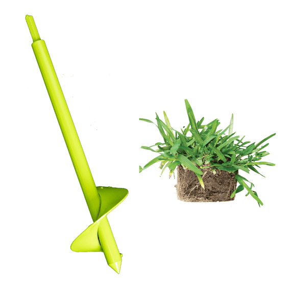 SodPods St Augustine Seville (16-Count)/SP Power Planter Bundle, Natural Affordable Lawn Improvement