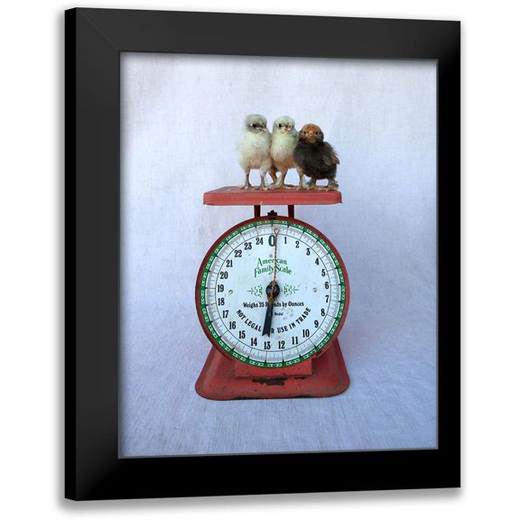 Soderman, Tania 12x14 Black Modern Framed Museum Art Print Titled - Chicks on Red Scale