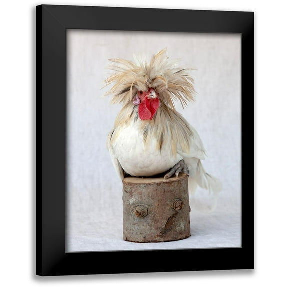 Soderman, Tania 12x14 Black Modern Framed Museum Art Print Titled - Rod the Rooster II