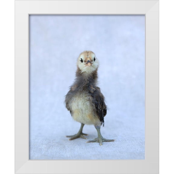 Soderman, Tania 15x18 White Modern Wood Framed Museum Art Print Titled - Viva