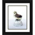 thumbnail image 1 of Soderman, Tania 20x24 Black Ornate Wood Framed with Double Matting Museum Art Print Titled - Tiny Baker I, 1 of 4