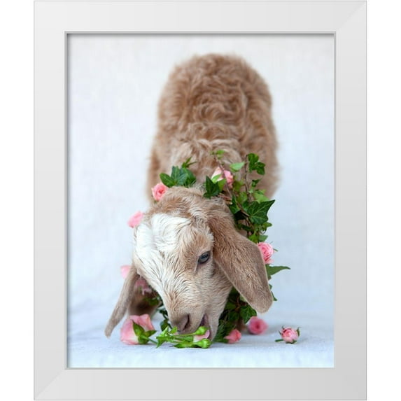 Soderman, Tania 20x24 White Modern Wood Framed Museum Art Print Titled - Friday Eating Roses