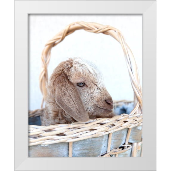 Soderman, Tania 20x24 White Modern Wood Framed Museum Art Print Titled - Friday in Basket I