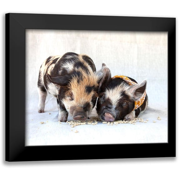 Soderman, Tania 24x20 Black Modern Framed Museum Art Print Titled - Fiona And Ferdinand II