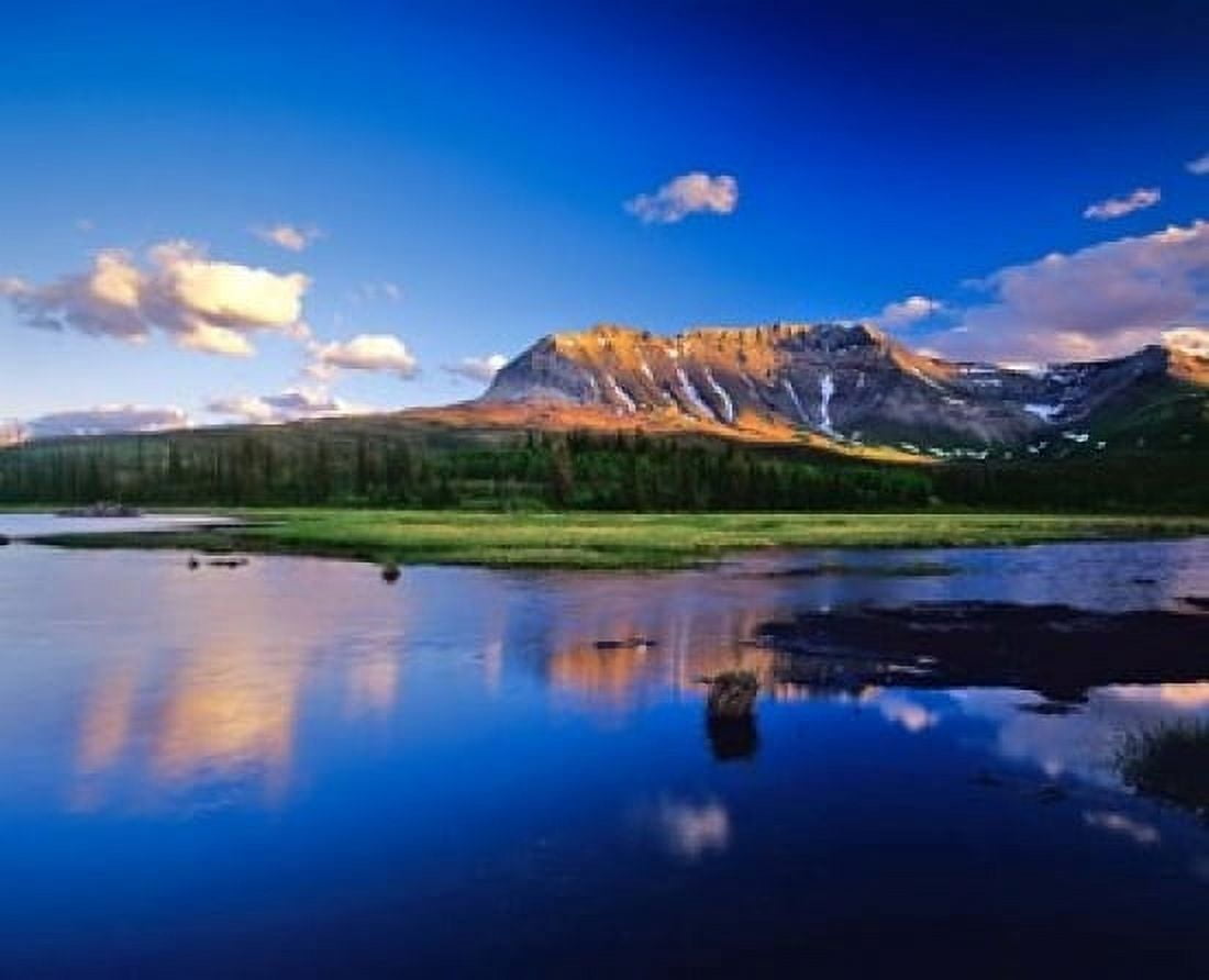 Sofa Mountain Reflects in Beaver Pond Wateron Lakes National Park Alberta Canada Canvas Art - Chuck Haney DanitaDelimont (20 x 16)