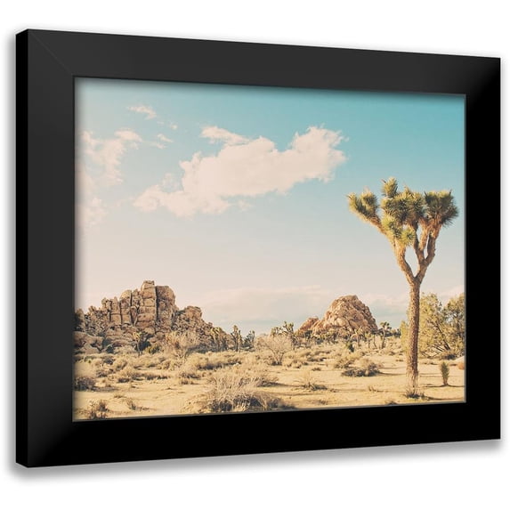 Soffia, Myan 18x15 Black Modern Framed Museum Art Print Titled - Winter in the Desert No. 3
