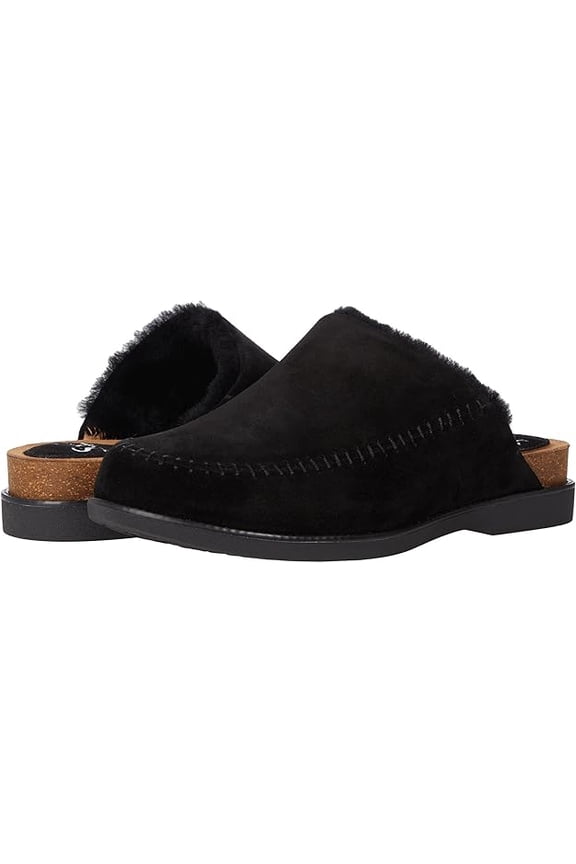 Bellflower Suede size 6