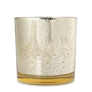 Sofia Home 12oz. 3-Wick Candle Holly and Evergreen by Sofia Vergara