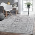 thumbnail image 1 of Sofihas Traditional Farmhouse Area Rugs, Gray Shades, 8'x10' Rugs, 1 of 8