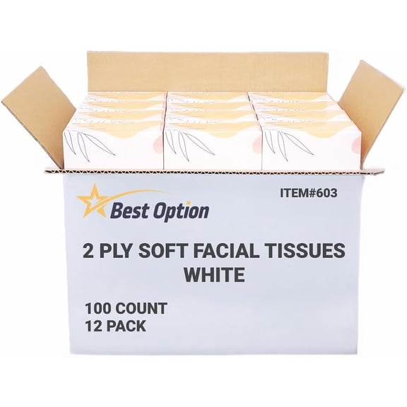 Soft 2-Ply Facial Tissue, White, 100-Count Box | Professional, Gentle and Durable | Great for Bathroom, Office, Business, School (1,200 Tissues, Bulk Pack of 12-Boxes)
