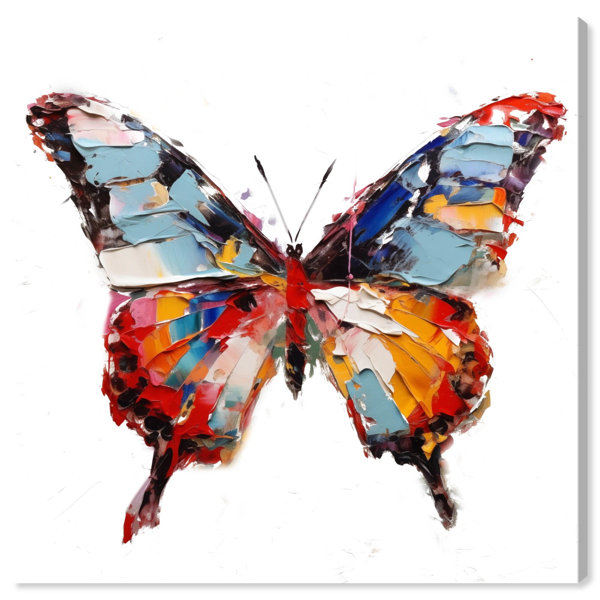 Soft And Bold Rainbow Butterfly Canvas Butterfly Art Prints by Art
