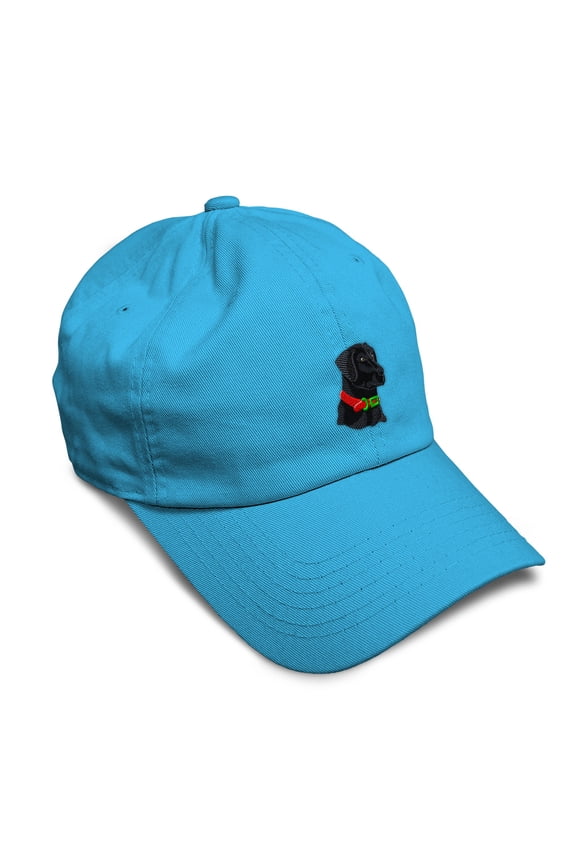 Soft Baseball Cap Black Lab Head Embroidery Dogs Black Lab Twill Cotton Dragon Fly Dad Hats for Men & Women Aqua Design Only