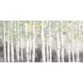thumbnail image 1 of Soft Birches Charcoal Poster Print by James Wiens (36 x 18) # 57004, 1 of 1