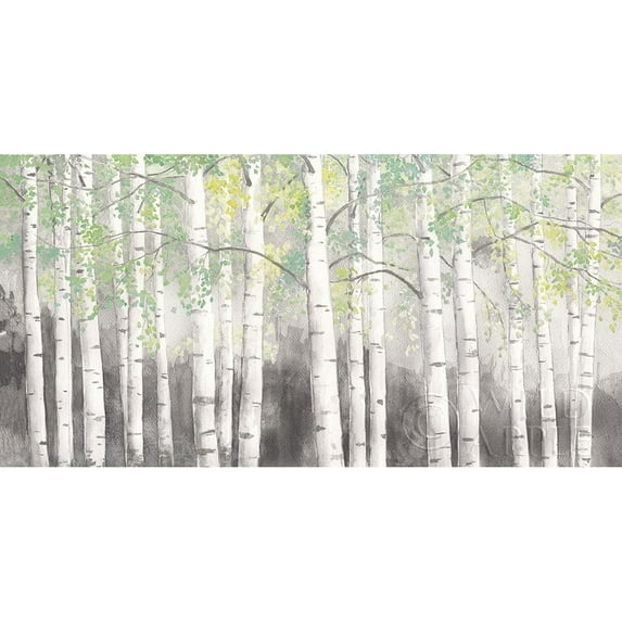 Soft Birches Charcoal Poster Print by James Wiens (36 x 18) # 57004