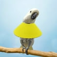 thumbnail image 1 of Soft Bird Collar for Parrots and Small Birds Recovery Neck Ring to Scratching and Aid, 1 of 3