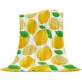 thumbnail image 1 of Soft Blanket Plush Warm Flannel Sofa Couch Chair Throw Blanket 50x60 inch Luxury Fluffy Lightweight Blankets for Bedroom Living Room Decor, Summer Fruit Theme Lemon, 1 of 6