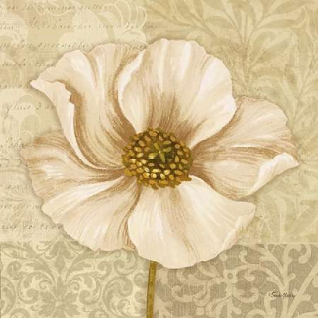 Soft Bloom I Canvas Art - Pamela Gladding (24 x 24)