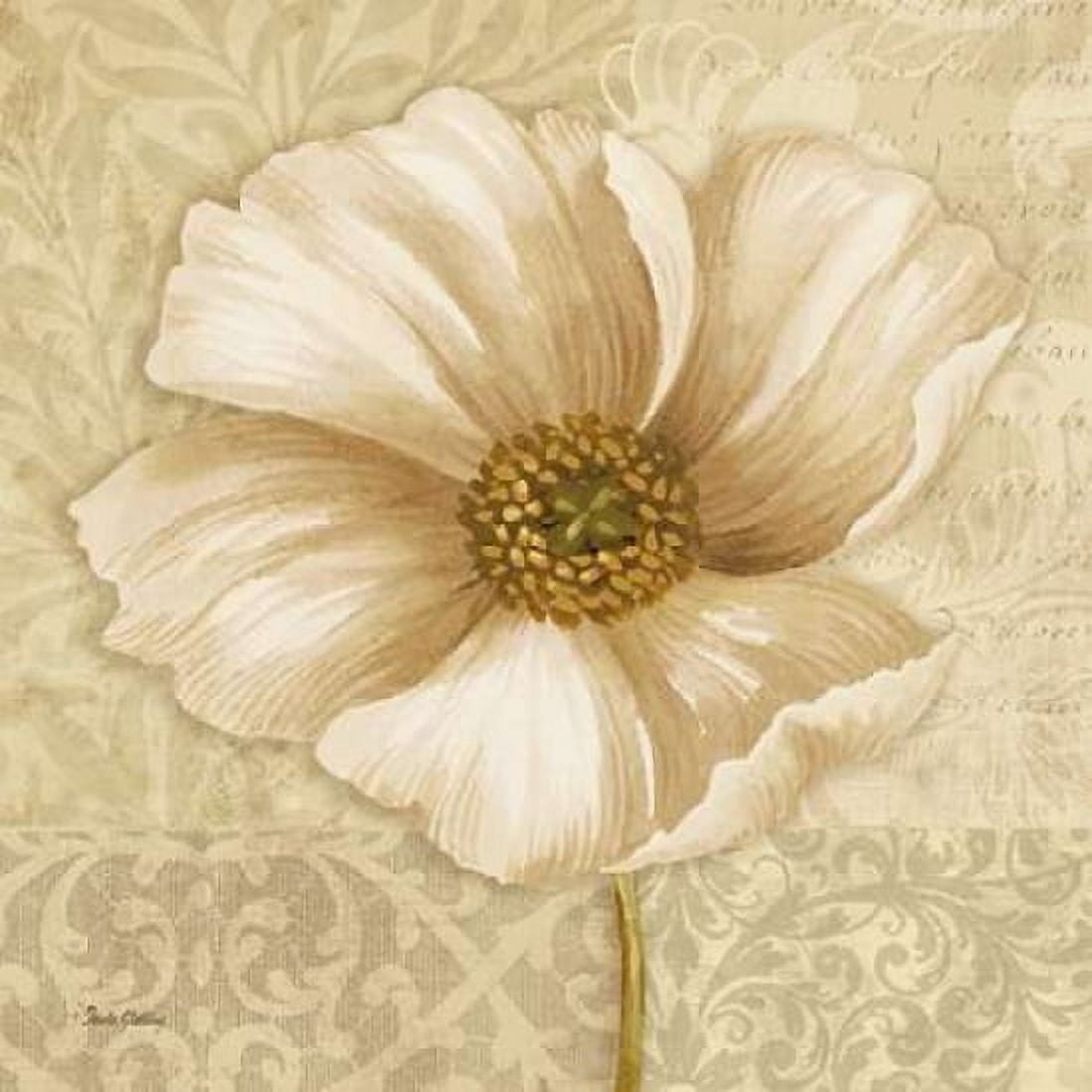 Soft Bloom II Canvas Art - Pamela Gladding (24 x 24)