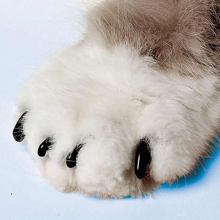 Soft hot sale paws walmart