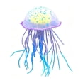 thumbnail image 1 of Soft Clear Silicone Artificial Jellyfish Aquarium Decor, Blue 4.53X2.56 Inch Light Reflection Fade Resistant Non-Toxic Fish Safe Landscape Ornament for Glass Fish Tank Aquascaping,Blue, 1 of 7