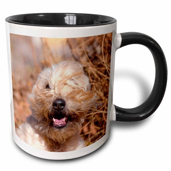 3drose, Soft Coated Wheaten Terrier Portrait, Mr and Pr,, 11oz Two-tone Black Mug