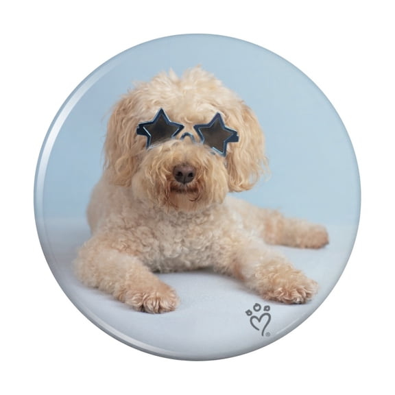 Soft-Coated Wheaten Terrier Starry Eyed Sunglasses Kitchen Refrigerator Locker Button Magnet