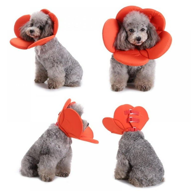 Soft Dog Accessories Recovery Pet Cone E-Collar for Cats Dogs Flower Soft  Dacron Sponge Filling Protective Grooming Collar Flower Shape - Walmart.com