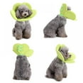 thumbnail image 1 of Soft Dog Accessories Recovery Pet Cone E-Collar for Cats Dogs Flower Soft Dacron Sponge Filling Protective Grooming Collar Flower Shape, 1 of 7