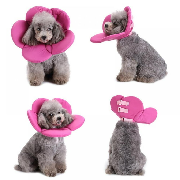 Soft Dog Accessories Recovery Pet Cone E-Collar for Cats Dogs