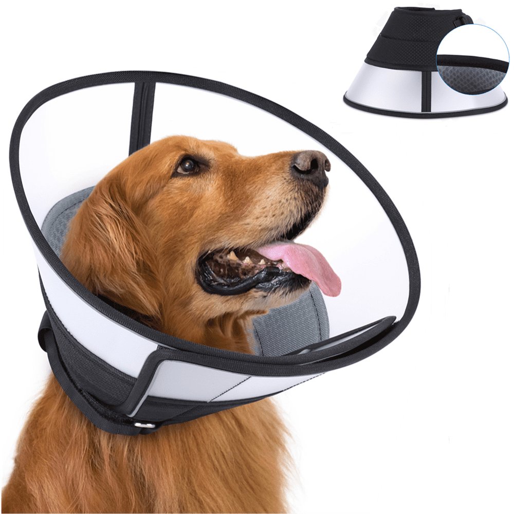 Kmart dog cone online
