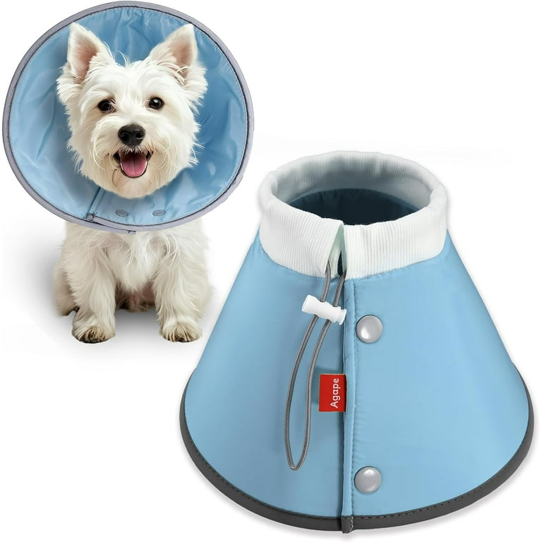 Pet Pack Leader Collar Petco Petco Protective Collar Best Cat Cone