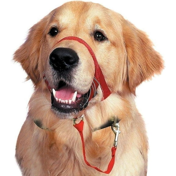 Soft Dog Head Collar, No Pull Training Tool for Large Dogs on Walks, Gentle Halter Heavy Pullers, Includes A Guide