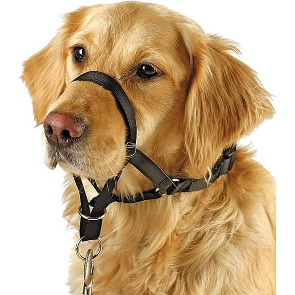 Soft Dog Head Collar, No Pull Training Tool for Small Dogs on Walks, Gentle Halter for Heavy Pullers, Includes A Training Guide