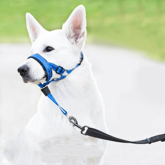 Soft Dog Head Collar, Padded No Pull Head Halter, Training Nose Leash with Safety Link for Medium Large Dogs, Adjustable Muzzle Leash, Easy Control for Walking(Blue, XL)