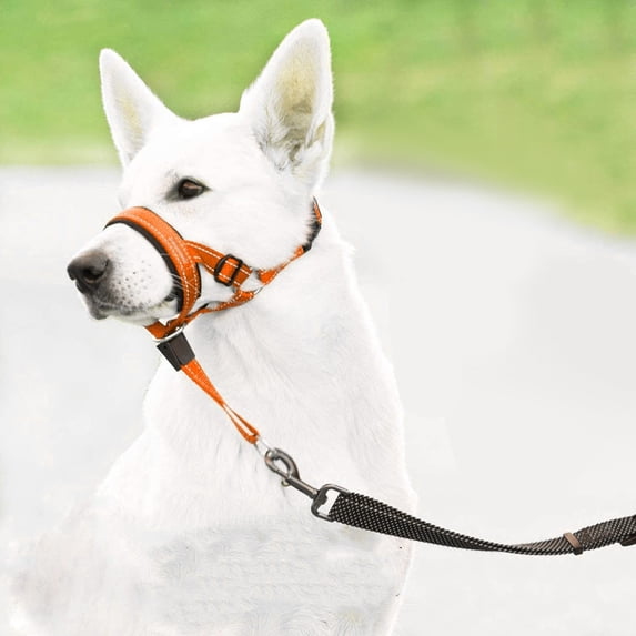 Soft Dog Head Collar, Padded No Pull Head Halter, Training Nose Leash with Safety Link for Medium Large Dogs, Adjustable Muzzle Leash, Easy Control for Walking(Orange, L)