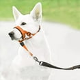 thumbnail image 1 of Soft Dog Head Collar, Padded No Pull Head Halter, Training Nose Leash with Safety Link for Medium Large Dogs, Adjustable Muzzle Leash, Easy Control for Walking(Orange, S), 1 of 8
