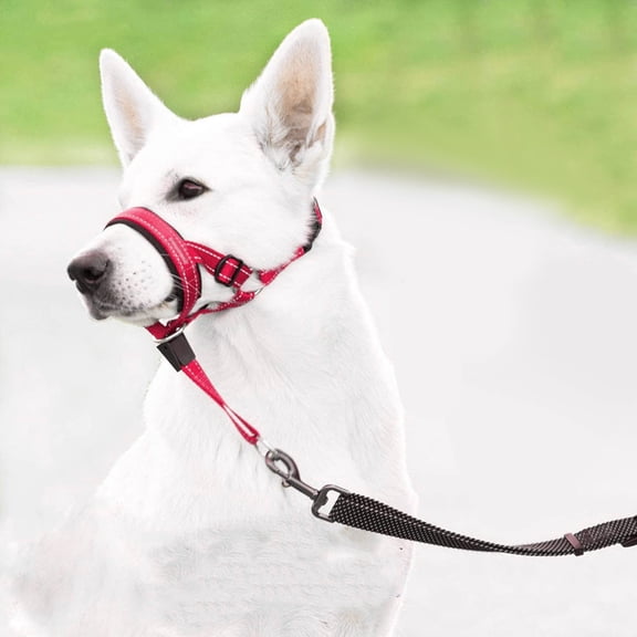 Soft Dog Head Collar, Padded No Pull Head Halter, Training Nose Leash with Safety Link for Medium Large Dogs, Adjustable Muzzle Leash, Easy Control for Walking(Red, L)