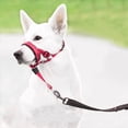 thumbnail image 1 of Soft Dog Head Collar, Padded No Pull Head Halter, Training Nose Leash with Safety Link for Medium Large Dogs, Adjustable Muzzle Leash, Easy Control for Walking(Red, S), 1 of 8