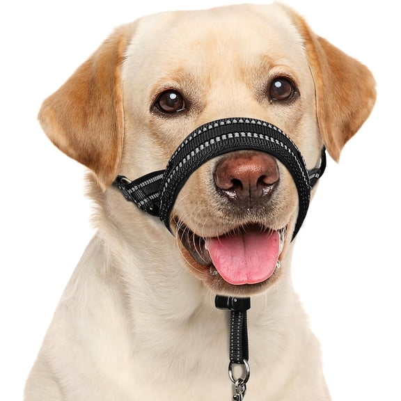 Soft Dog Head Collar, Patented Padded No Pull Halter, Training Nose Leash with Safety Link for Medium Lar Dogs, Adjustable Muzzle Leash, Easy Cool Walking(, M)