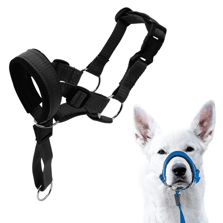 Head halter muzzle online